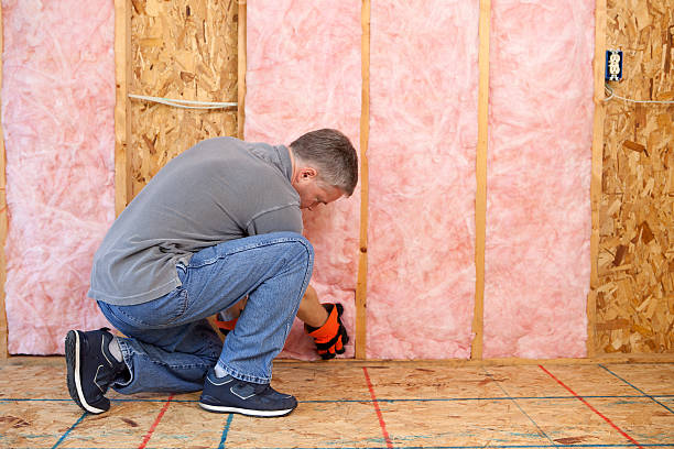 Best Wall Insulation Installation  in Eldridge, IA